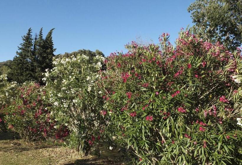 בית מלון כפרי Du Bosquet
