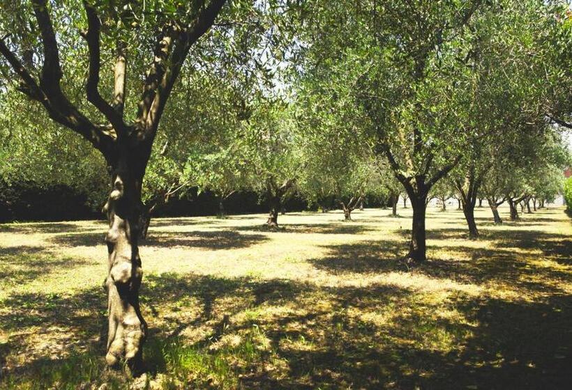 בית מלון כפרי Du Bosquet