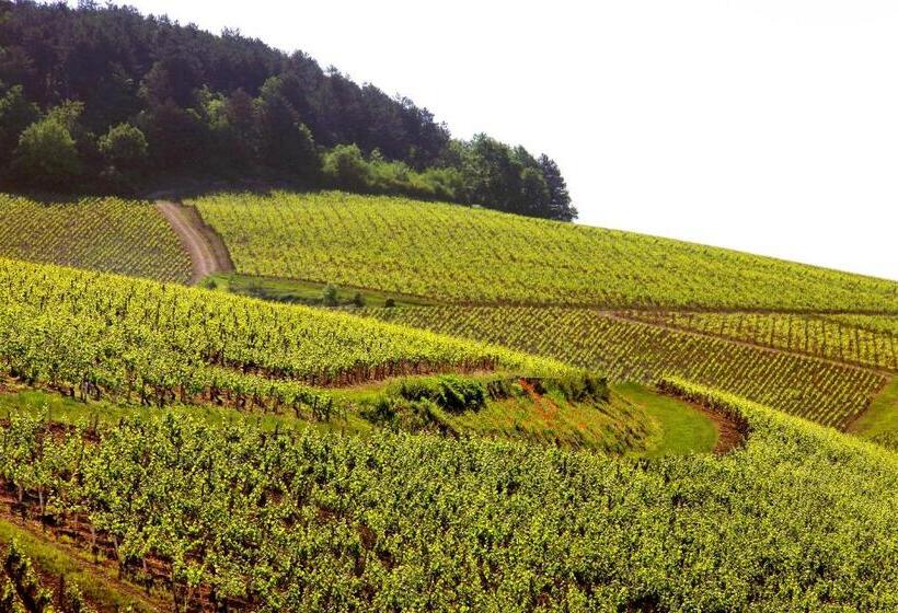 בית מלון כפרי Au Vieux Moulin