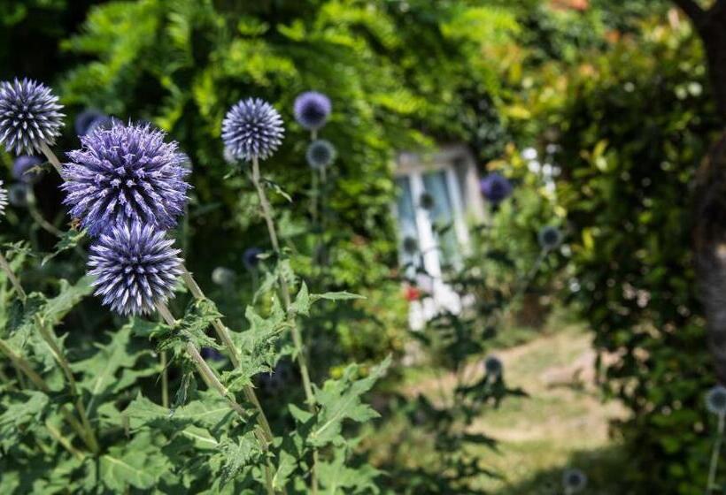 Hostellerie De Bretonnière   Groupe Logis Hotels