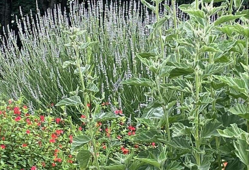 فندق Hôtel   Spa Les Corderies