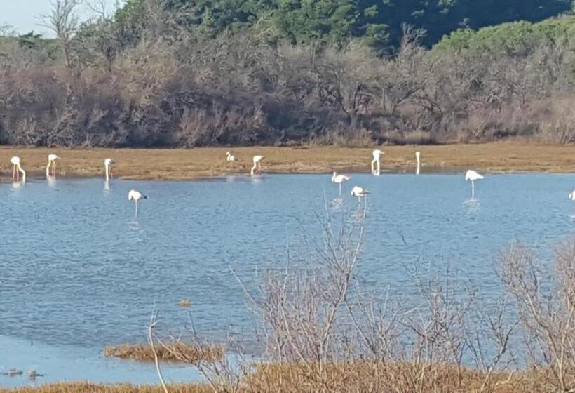 호텔 Hôtel Confort