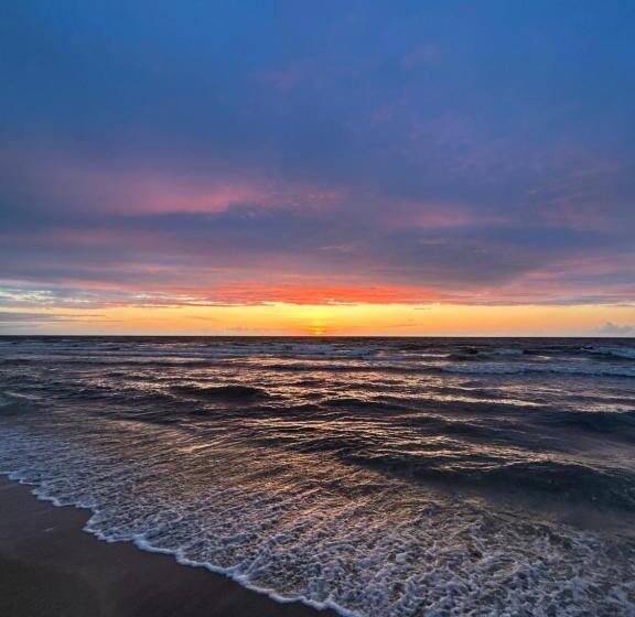 ホテル Hôtel De La Mer   Deauville Blonville   Boutique Hôtel De Charme Vue Mer Ou Campagne   Accès Direct