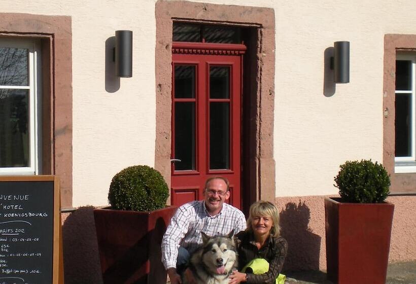 فندق Hôtel Du Haut Koenigsbourg  Entre Vignes Et Château