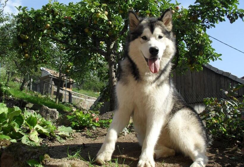 فندق Hôtel Du Haut Koenigsbourg  Entre Vignes Et Château