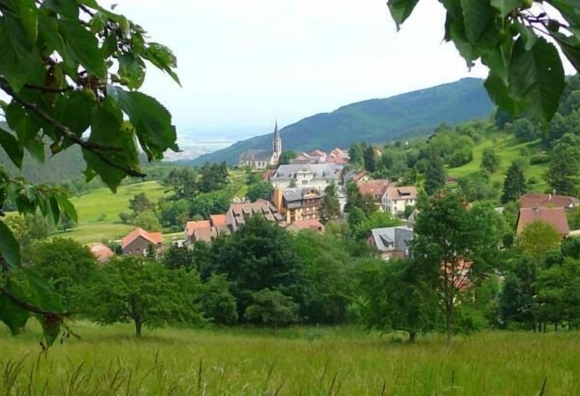 酒店 Hôtel Du Haut Koenigsbourg  Entre Vignes Et Château