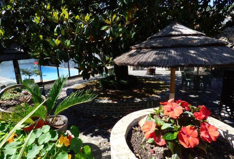 ホテル Hôtel Du Lion D'or