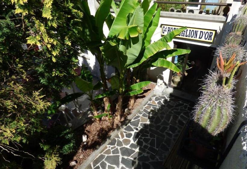 فندق Hôtel Du Lion D'or