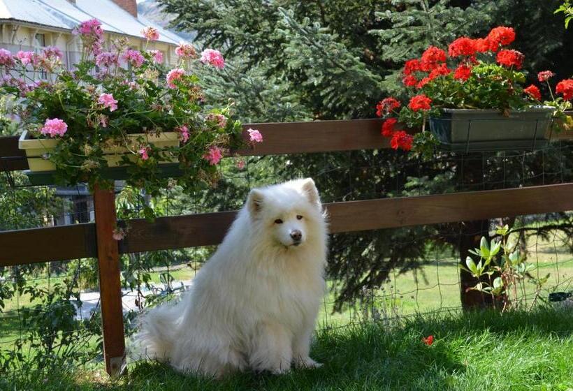 酒店 Hôtel Edelweiss