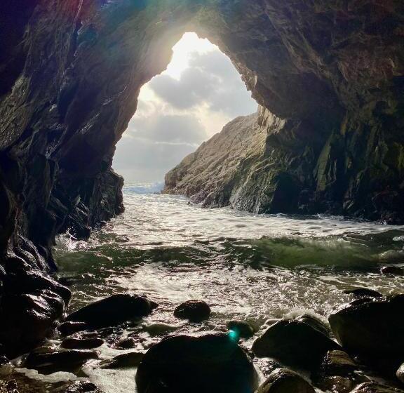 Отель Hôtel L Albatros