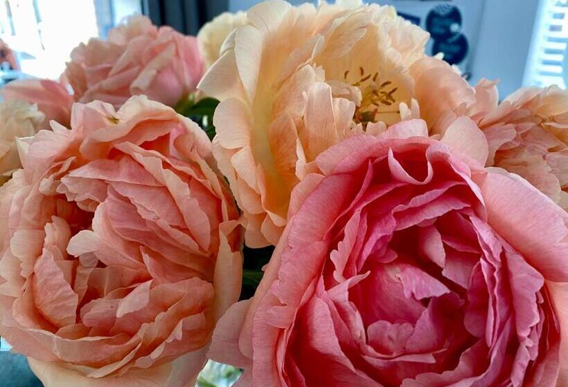 Отель Hôtel L Albatros