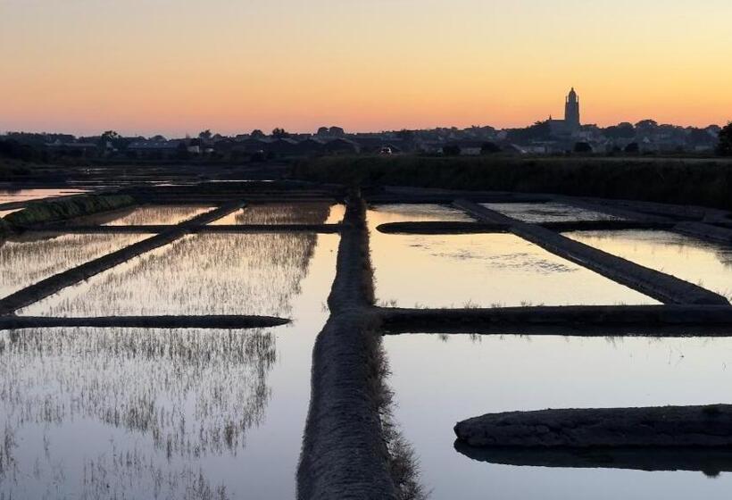 Отель Hôtel L Albatros