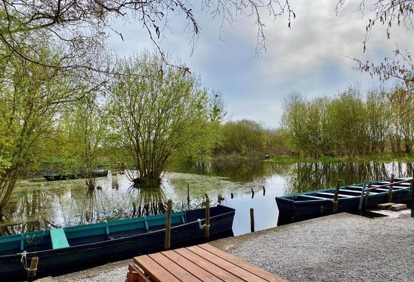 Отель Hôtel L Albatros