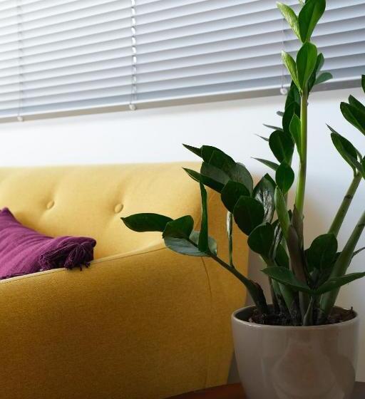 Отель Hôtel La Plage