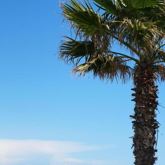 Отель Hôtel La Plage