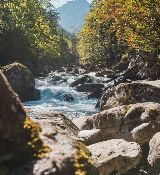 호텔 Hôtel Le Bois Joli