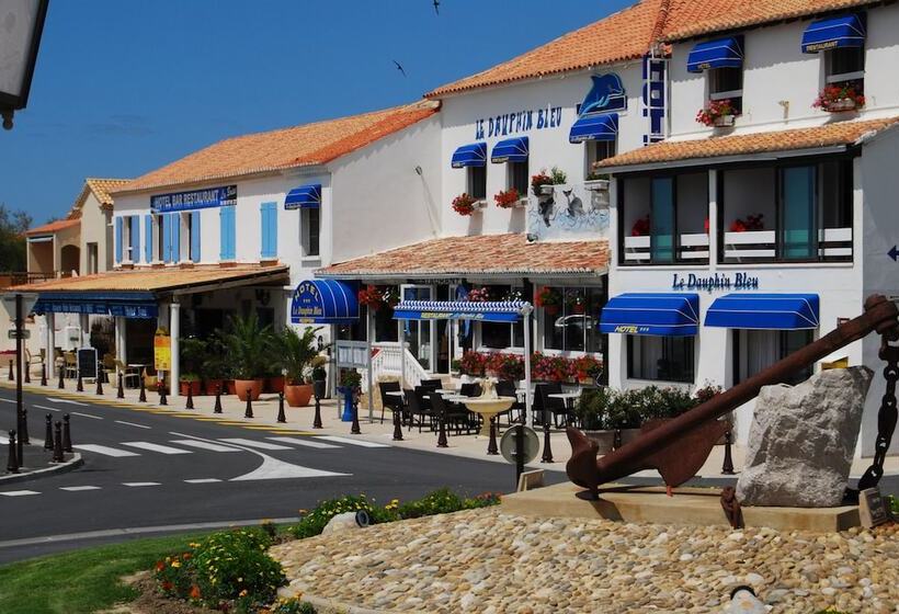 酒店 Hôtel Le Dauphin Bleu