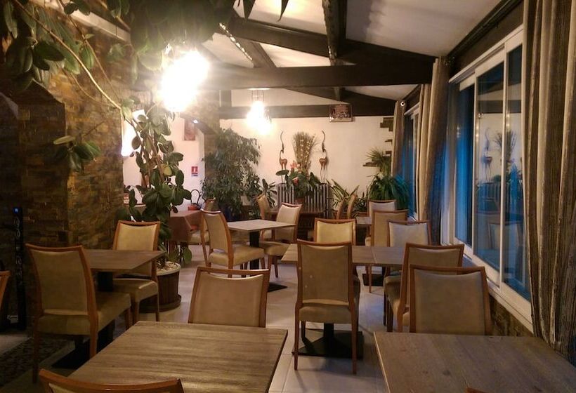 酒店 Hôtel Le Dauphin Bleu