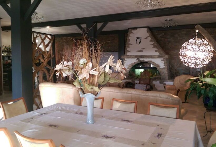 酒店 Hôtel Le Dauphin Bleu