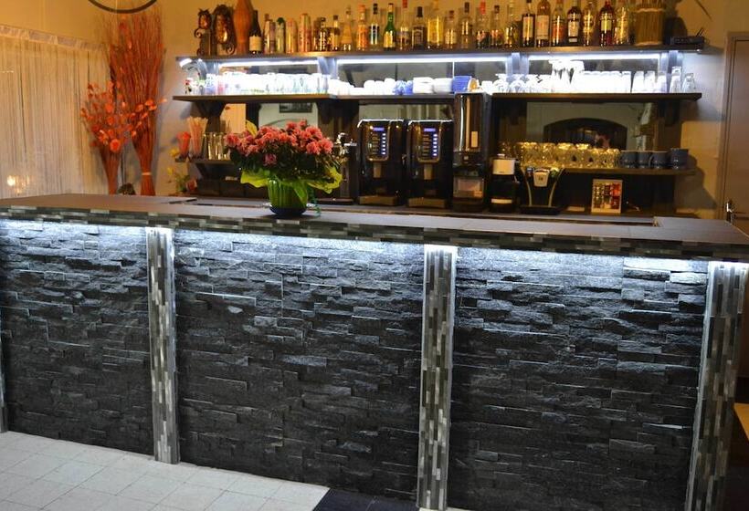 酒店 Hôtel Le Dauphin Bleu