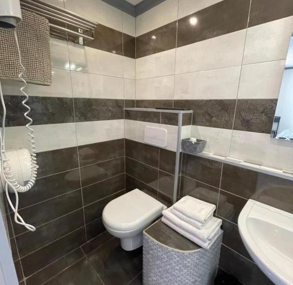 酒店 Hôtel Le Dauphin Bleu