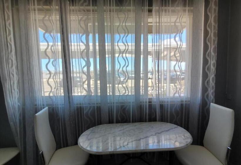 酒店 Hôtel Le Dauphin Bleu