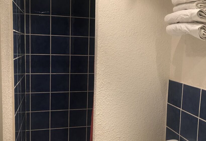 בית מלון כפרי Hôtel Le Faisan