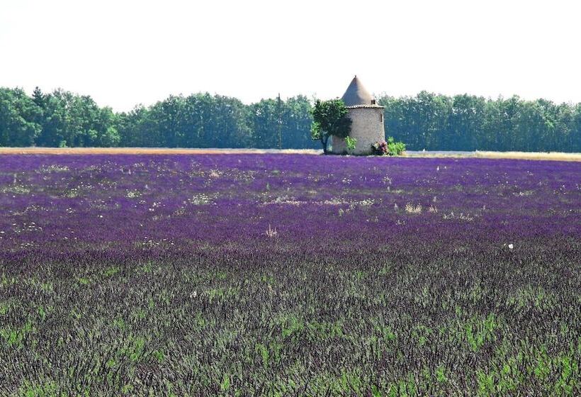 ホテル Hôtel Le Mas Du Loriot