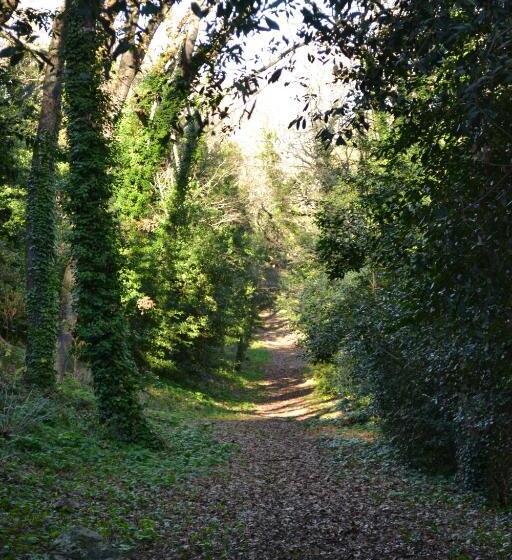 هتل Le Saintgenies