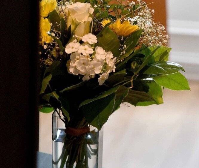 ホテル Hôtel Le Tiburon