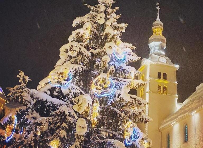 ホテル Hôtel Les Cimes