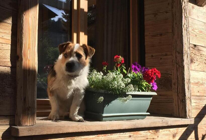 ホテル Hôtel Les Cimes