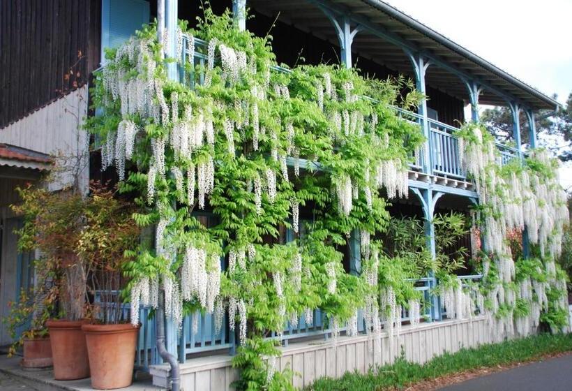 호텔 La Maison Du Bassin