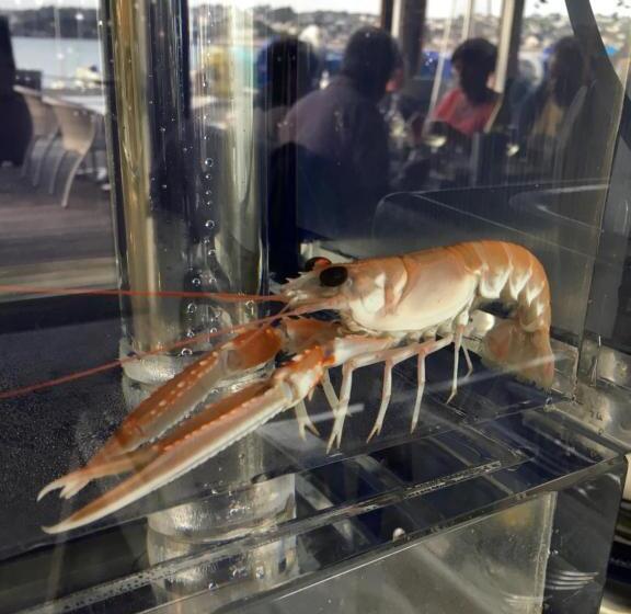 فندق La Table De Jeanne