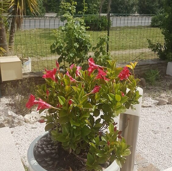 ホテル Le Golfe Bleu