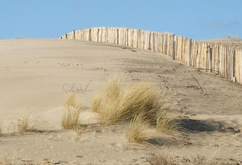 酒店 Le Heron Cendre