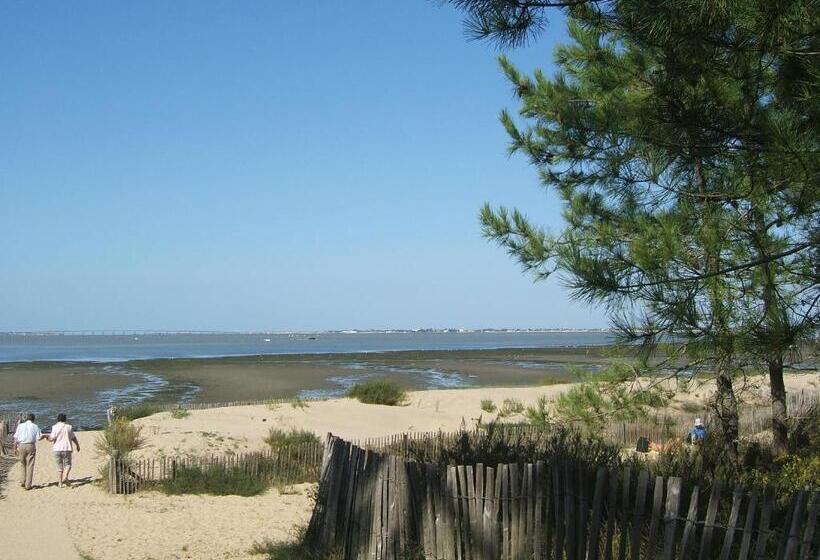 酒店 Le Heron Cendre