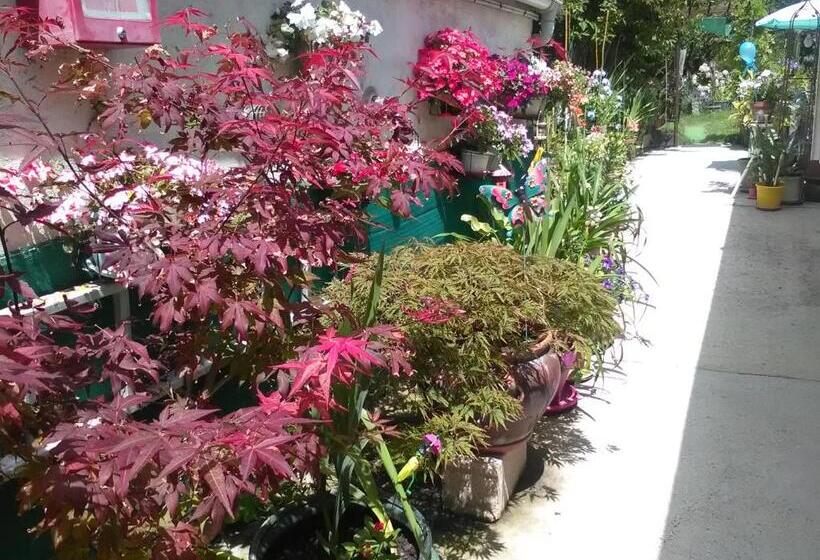 Отель Le Parisien