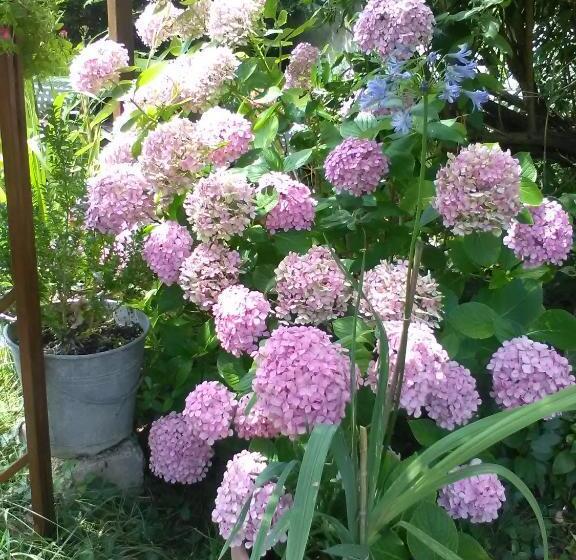 Отель Le Parisien