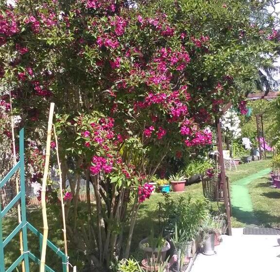 Отель Le Parisien