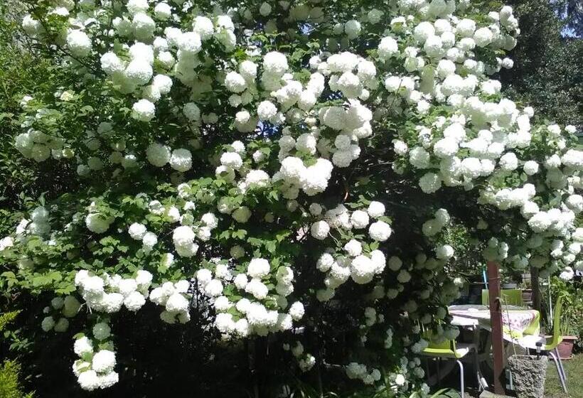 Отель Le Parisien