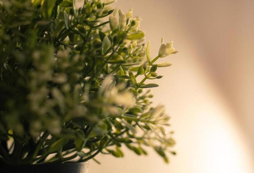 בית מלון כפרי Le President Gare Nimes Pont Du Gard