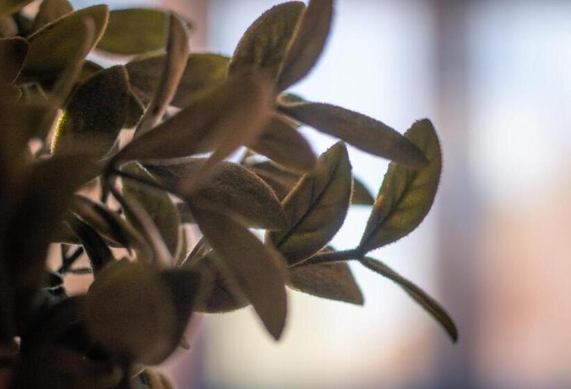 בית מלון כפרי Le President Gare Nimes Pont Du Gard