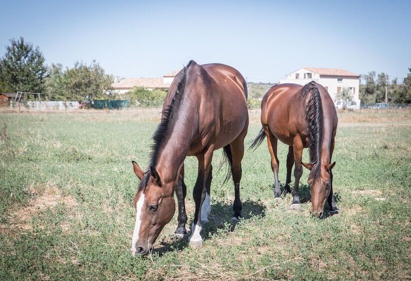 בית מלון כפרי Le President Gare Nimes Pont Du Gard