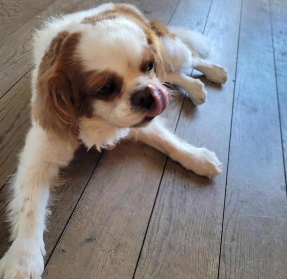 فندق Les Jolis Coeurs