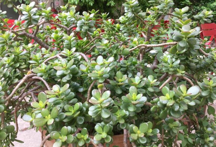 فندق Les Templiers