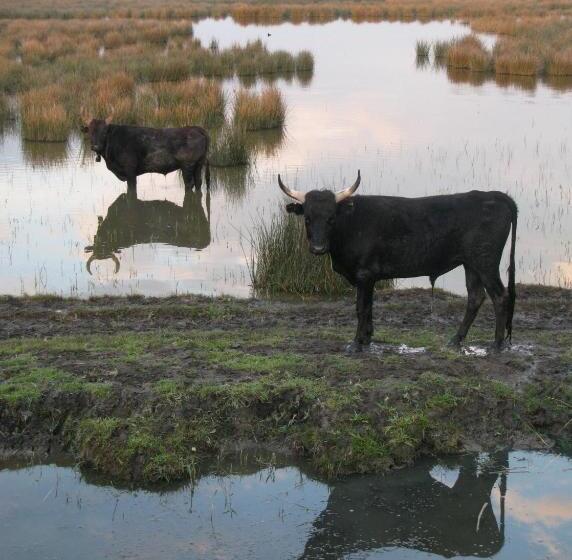 فندق Les Templiers