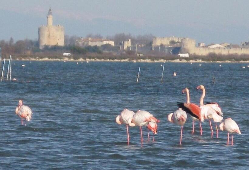 فندق Les Templiers