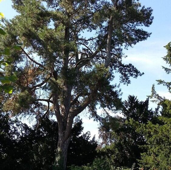 La Heraudiere Bed & Breakfast