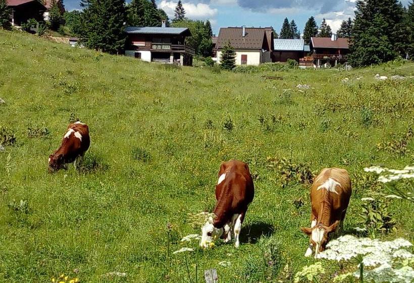 Gite De Vacances Residence La Babaute Les Rousses